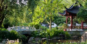 stl botanical gardens stl botanical gardens